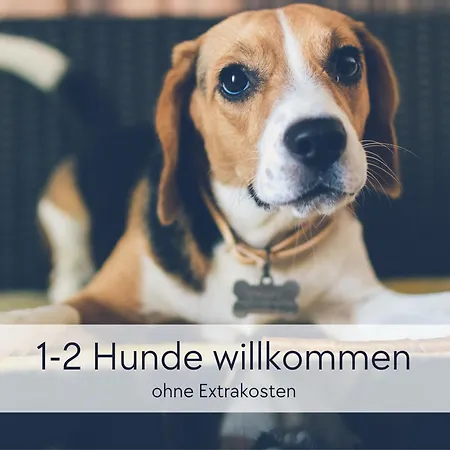 Lejlighed Hinterburg - Grosses Burgen-apartment Mit 4 Schlafzimmern & 2 Baedern - Ideal Fuer Familien Und Gruppen, Inklusive Kostenloser Parkplaetze, Aufzug Und Garten Schlitz