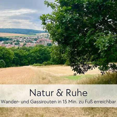 Hinterburg - Grosses Burgen-apartment Mit 4 Schlafzimmern & 2 Baedern - Ideal Fuer Familien Und Gruppen, Inklusive Kostenloser Parkplaetze, Aufzug Und Garten