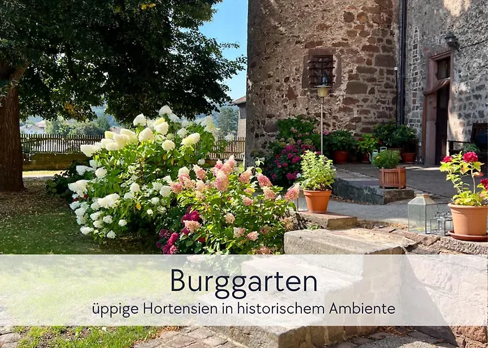 Hinterburg - Großes Burgen-apartment Mit 4 Schlafzimmern&2 Bädern - Ideal Für Familien Und Gruppen, Inklusive Kostenloser Parkplätze, Aufzug Und Garten